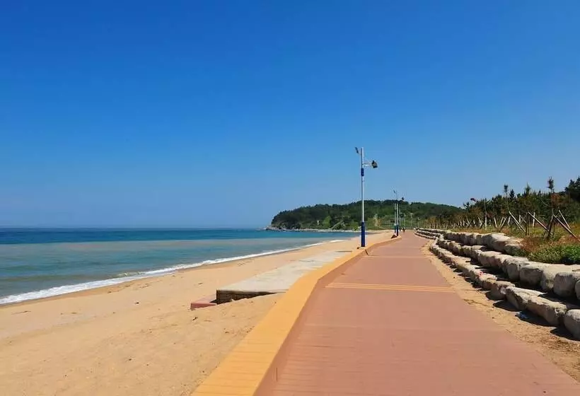 Sokcho Esher House Pension