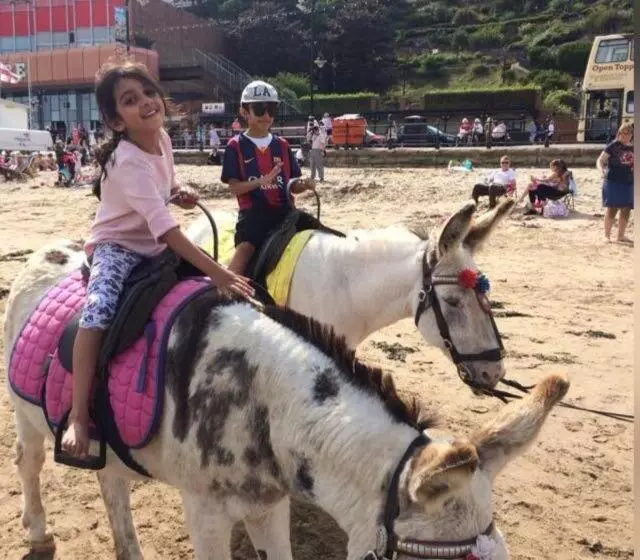 تختخواب و صبحانه Admiral Guest House