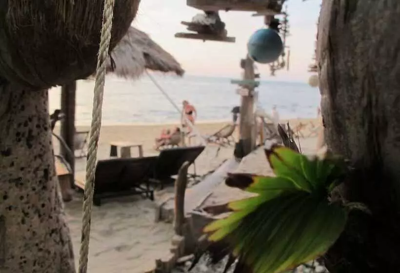 Coco Lanta Resort   Sha Extra Plus