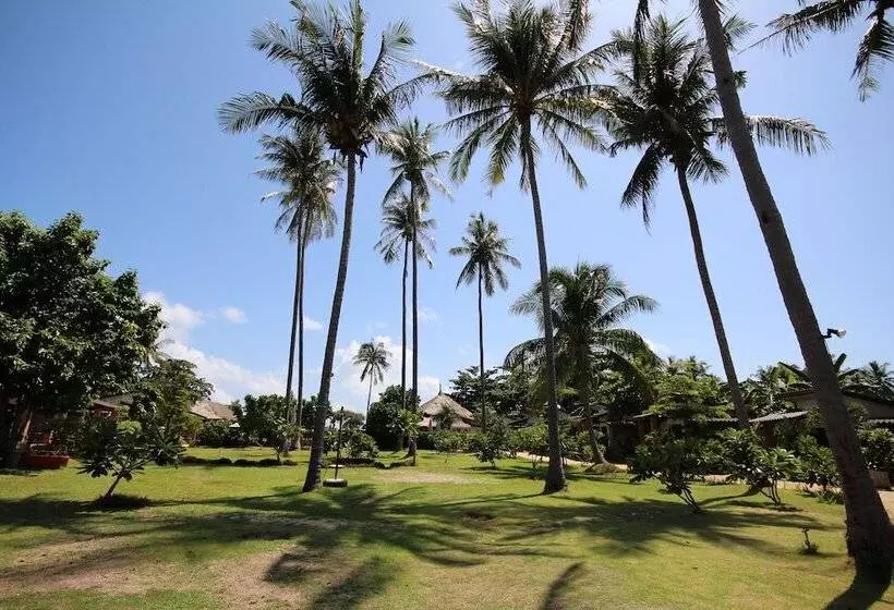 Coco Lanta Resort   Sha Extra Plus