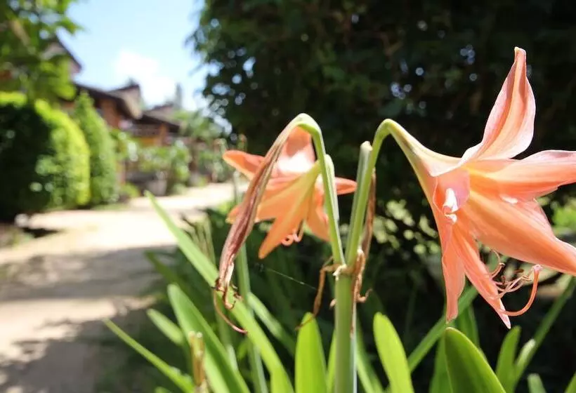 Coco Lanta Resort   Sha Extra Plus