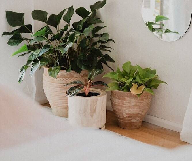 Отель The Lodge Jamberoo