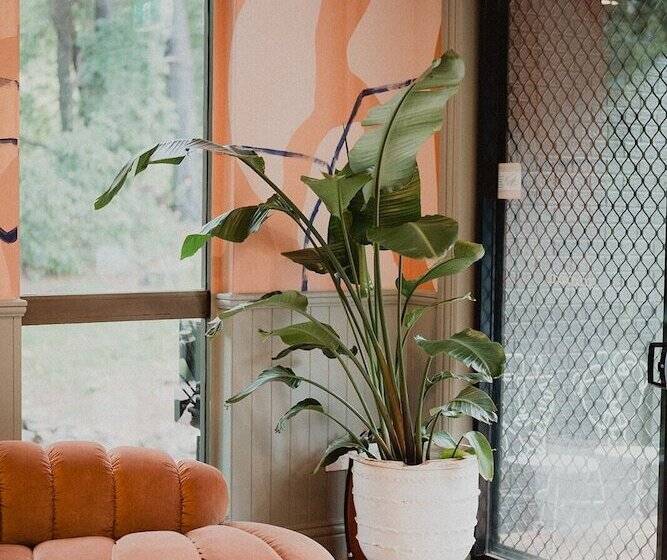 Отель The Lodge Jamberoo