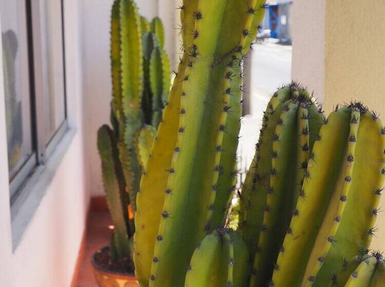 Hotel Catedral Casa Cornejo