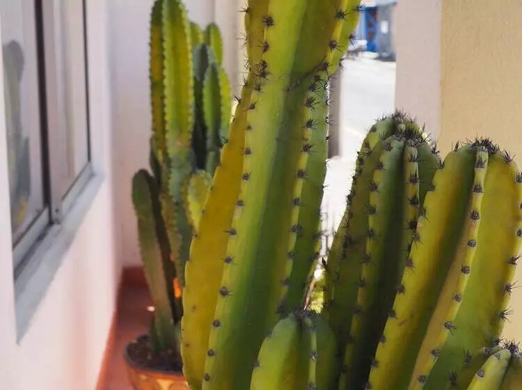 هتل Catedral Casa Cornejo