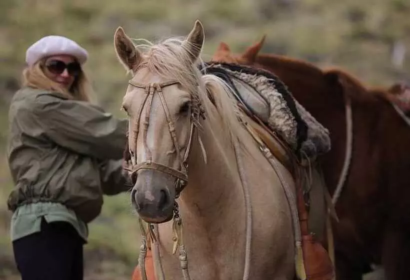 酒店 Cinco Ríos Chile