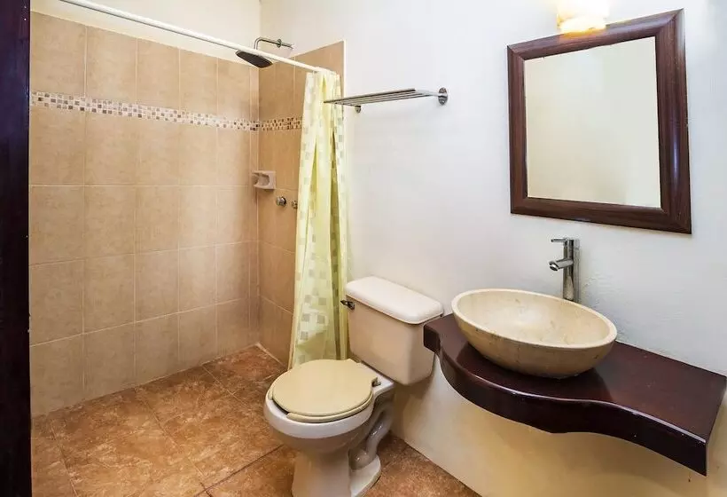 호텔 Hostal El Patio