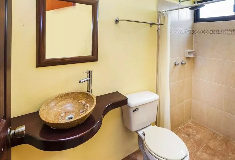 호텔 Hostal El Patio