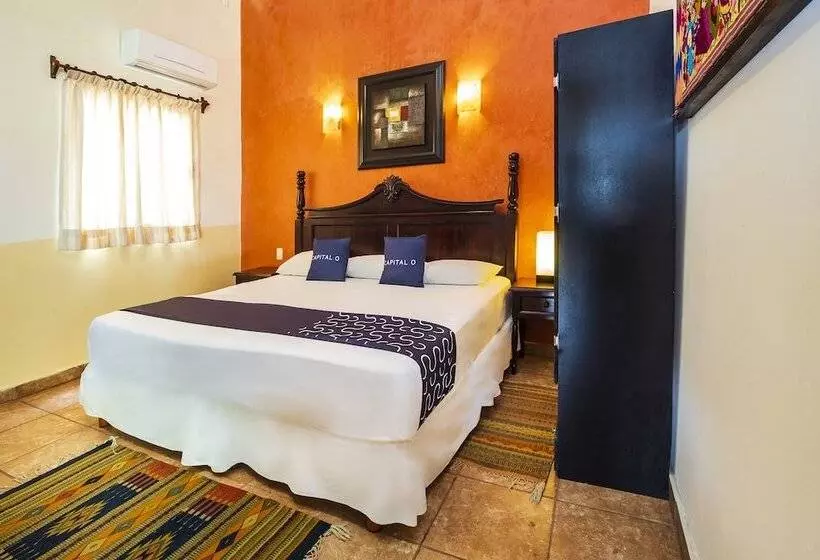 호텔 Hostal El Patio