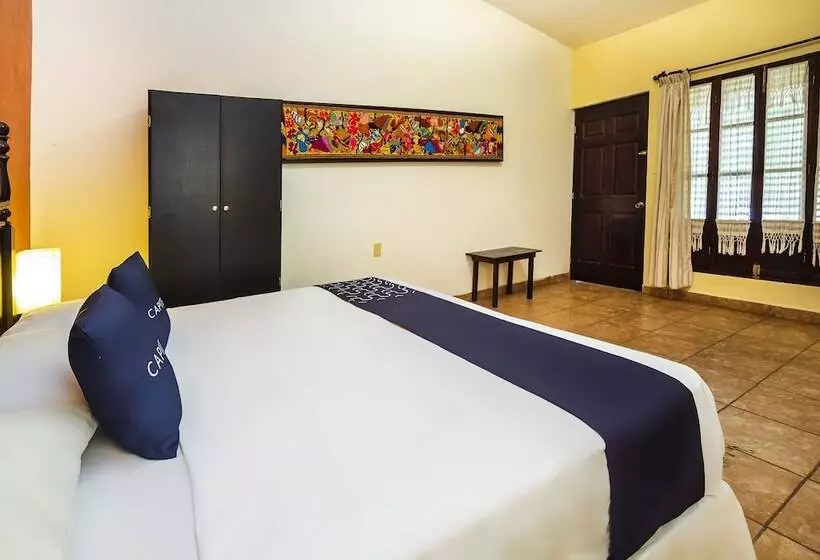 호텔 Hostal El Patio