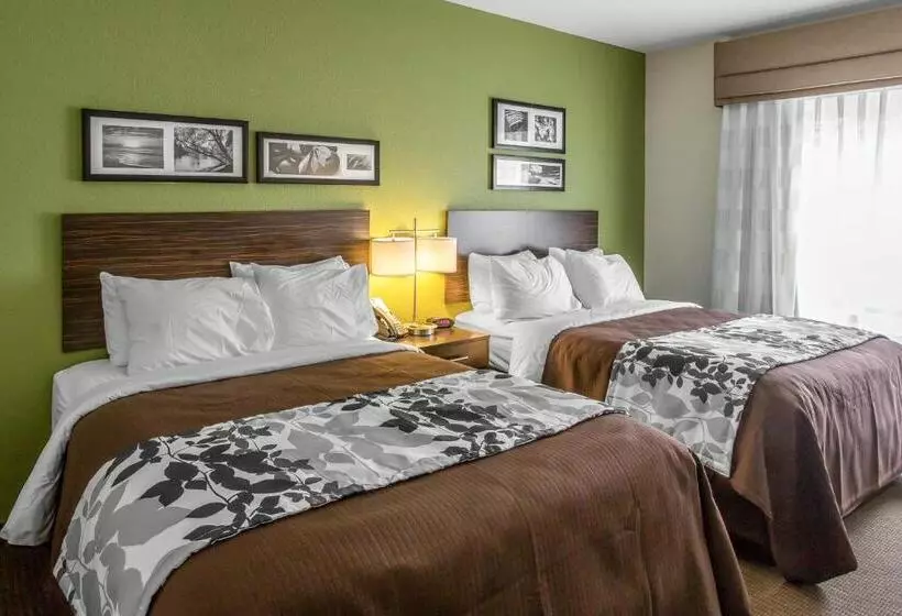 酒店 Sleep Inn & Suites Dayton