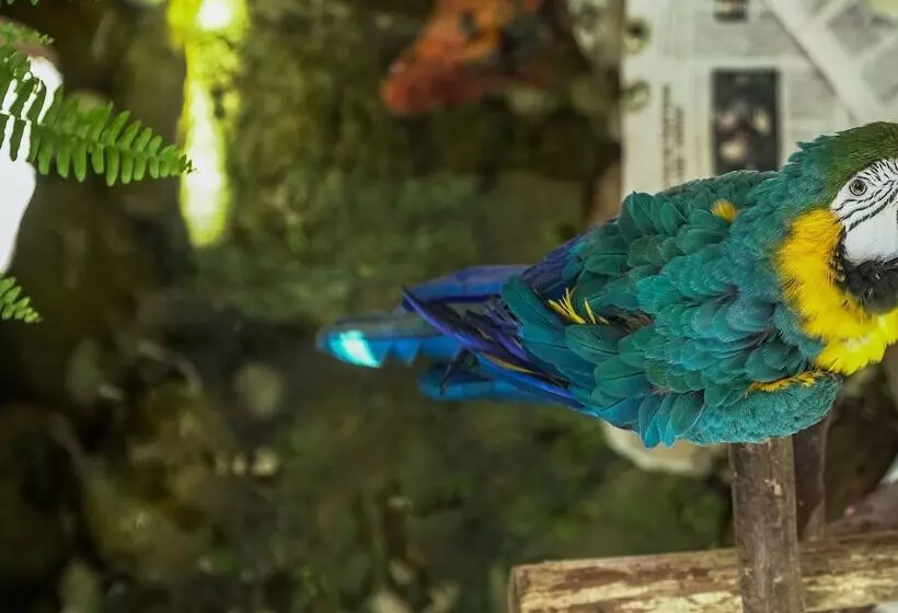 هتل Vila Germanica