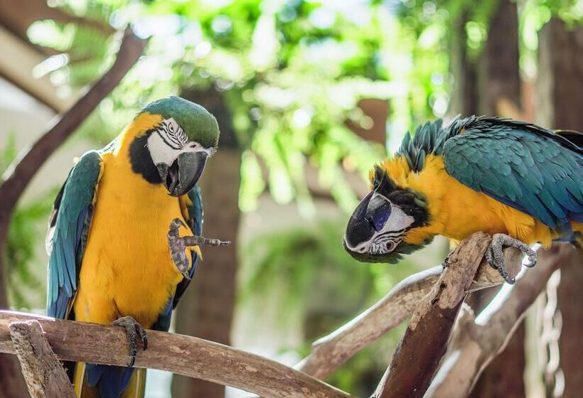 בית מלון כפרי Vila Germanica