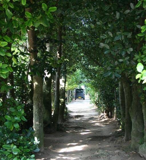 酒店 Yugaf Inn Bise