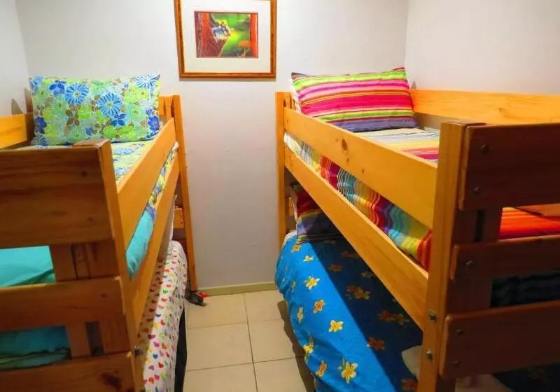 Мотель Daintree Rainforest Retreat