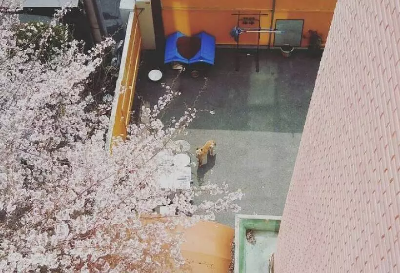 Oppa Hostel Sinchon Hongdae