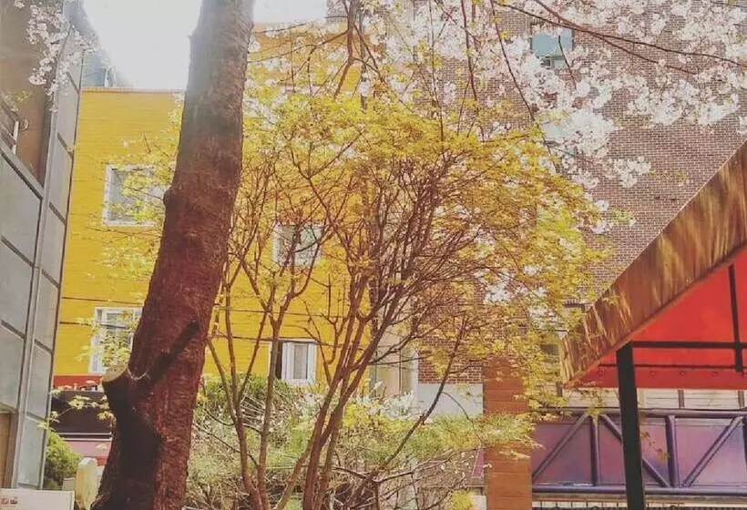 Oppa Hostel Sinchon Hongdae