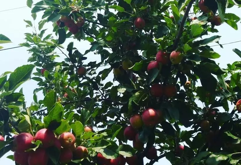 Oppa Hostel Sinchon Hongdae