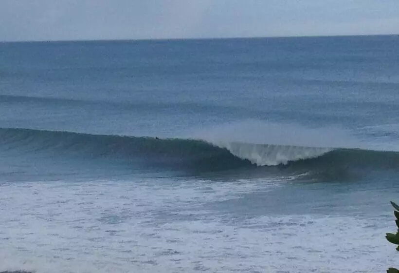 Split Point Cottages