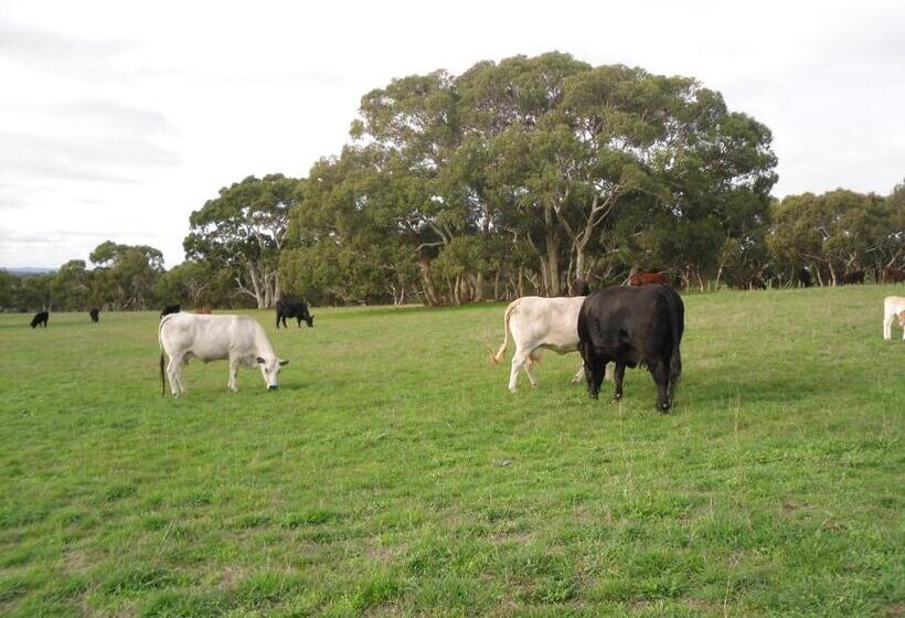 Wenton Farm Holiday Cottages