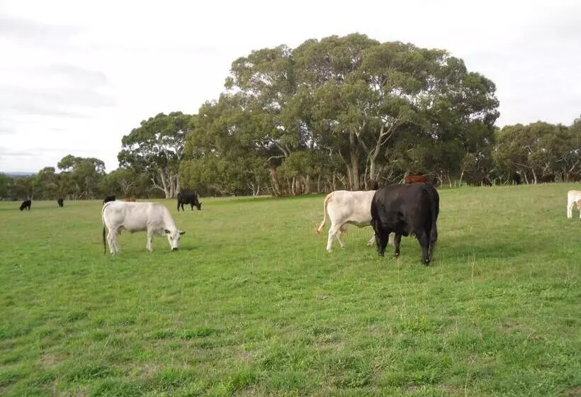 Wenton Farm Holiday Cottages