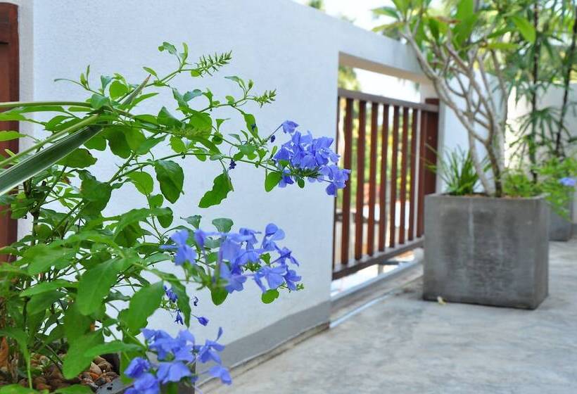 בית מלון כפרי Brizo