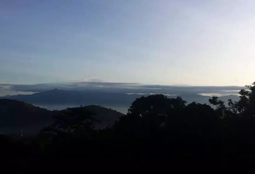 Hotel The Mount Royal