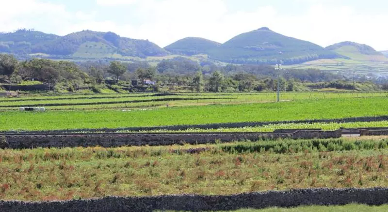 Pedras Do Mar Resort & Spa