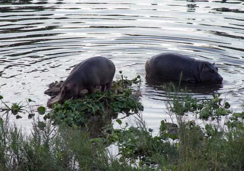 호텔 River House Lodge