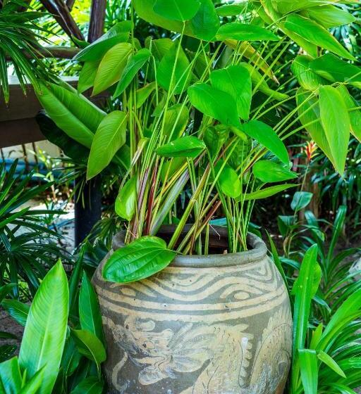 Hotel Secret Garden Beach Resort