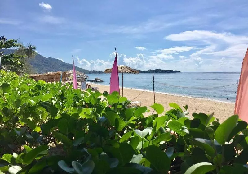 リゾートホテル Lamai Chalet