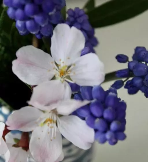 住宿加早餐  The Bosham Boathouse