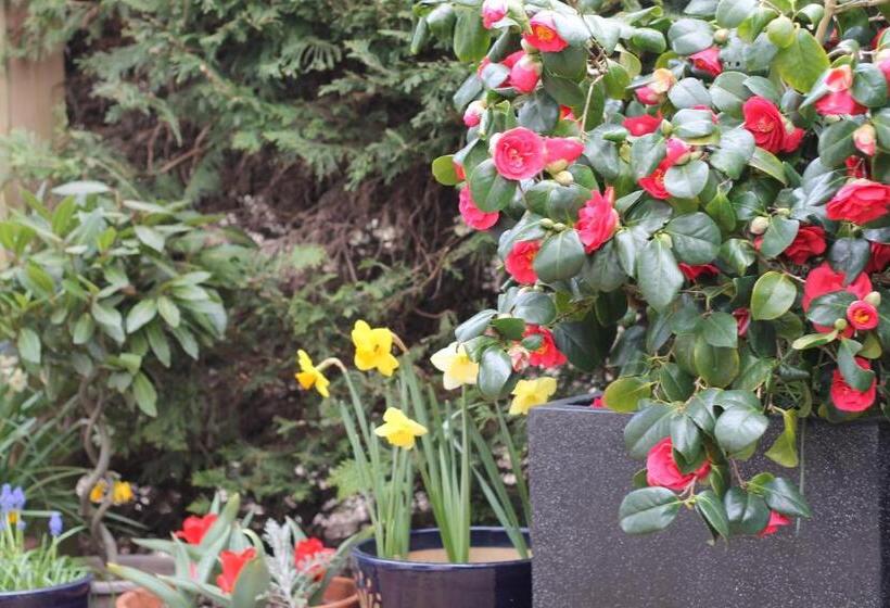 مبيت وإفطار The Bosham Boathouse