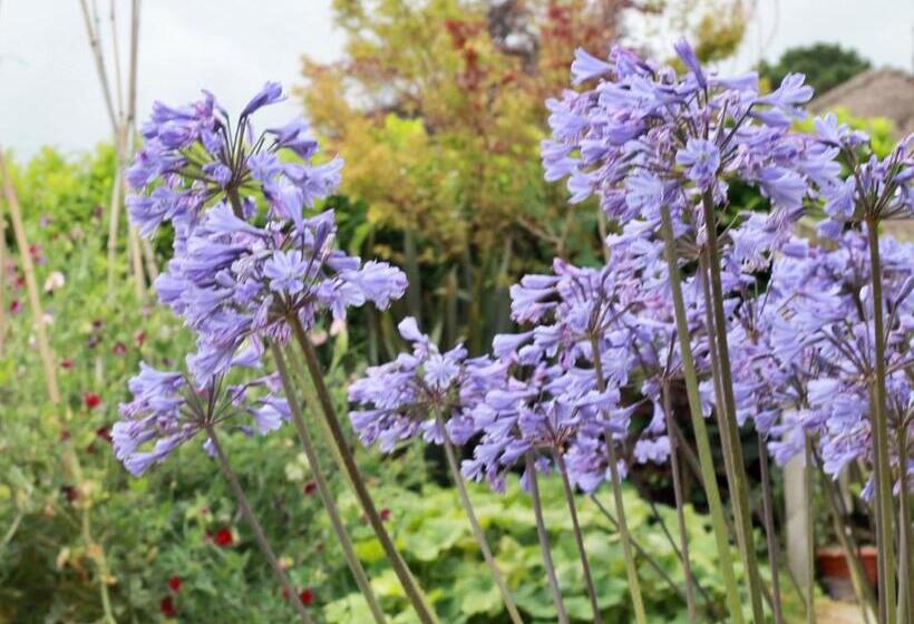 مبيت وإفطار The Bosham Boathouse