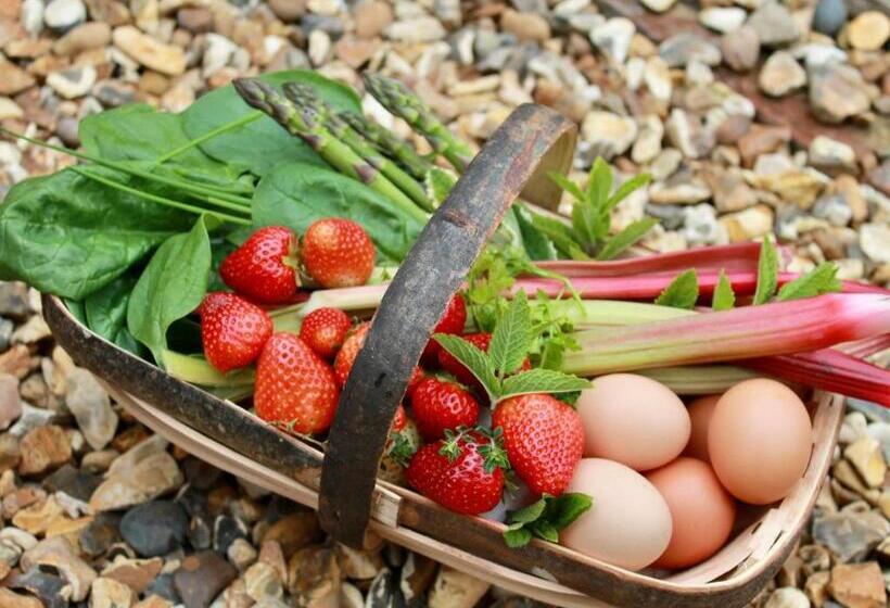 مبيت وإفطار The Bosham Boathouse