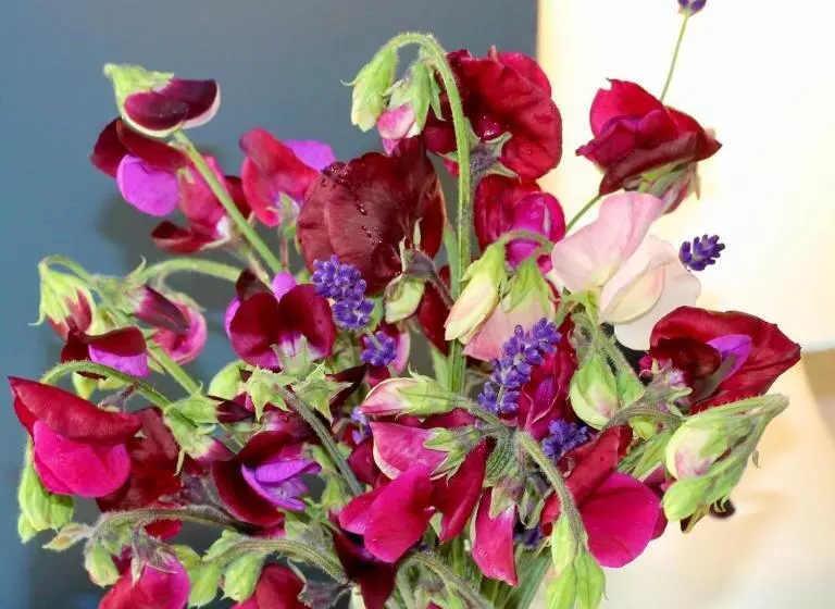 住宿加早餐  The Bosham Boathouse