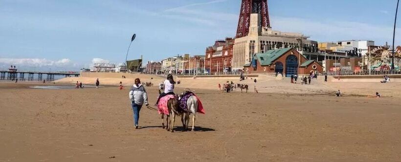 Bed and Breakfast The Lanes