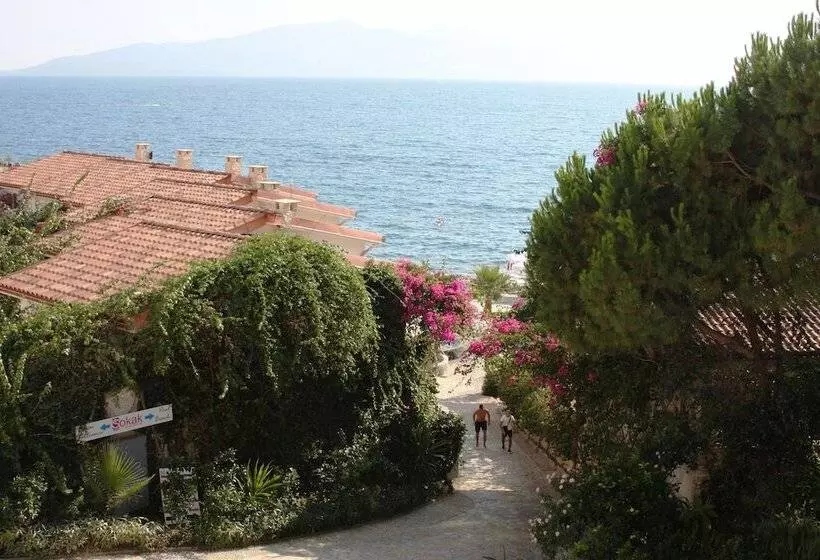 Bougainville Bay Serviced Apartments