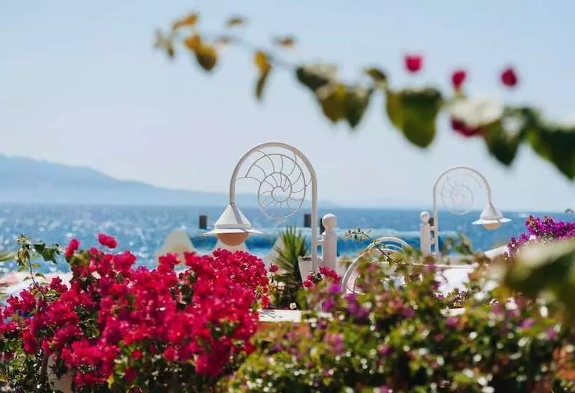 Bougainville Bay Serviced Apartments