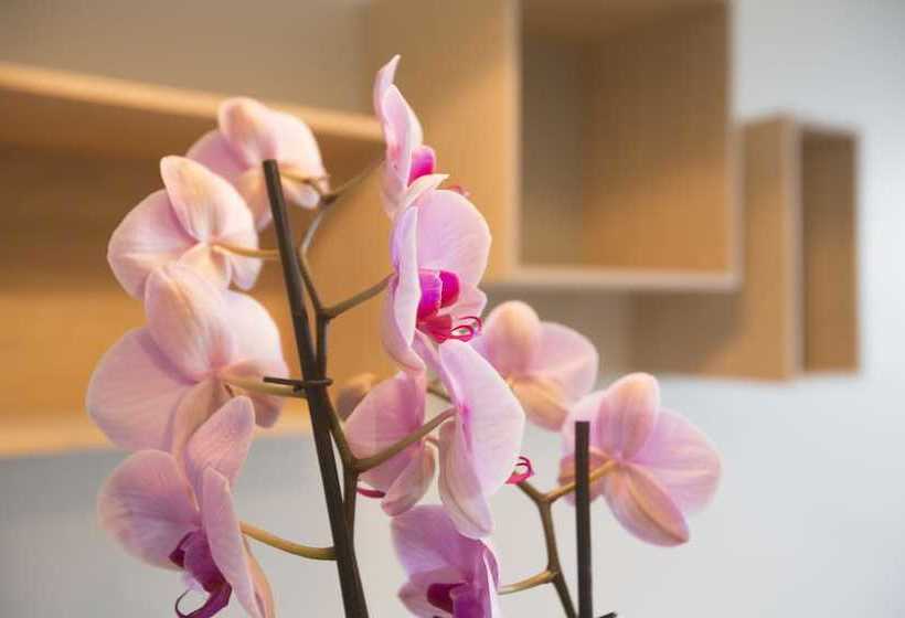 City Housing  Kanikkbakken 6