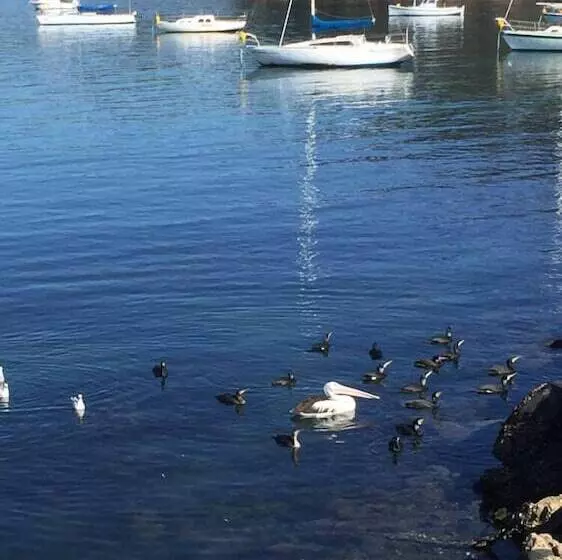 Eden Golf View Motel