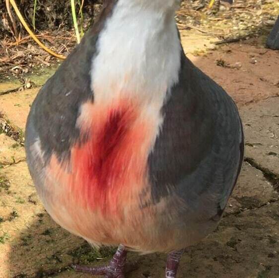 Eden Golf View Motel