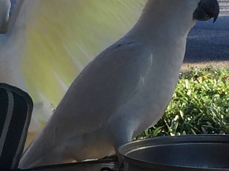 Eden Golf View Motel