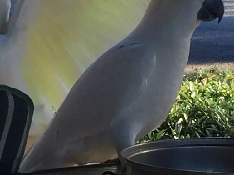 Eden Golf View Motel