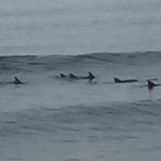 Eden Golf View Motel