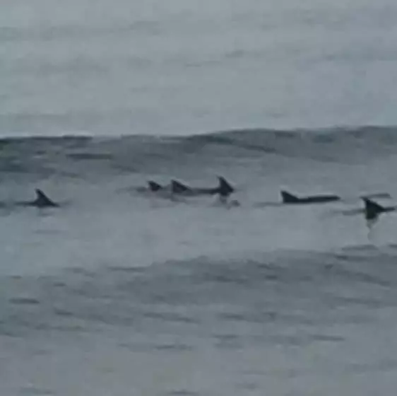 Eden Golf View Motel