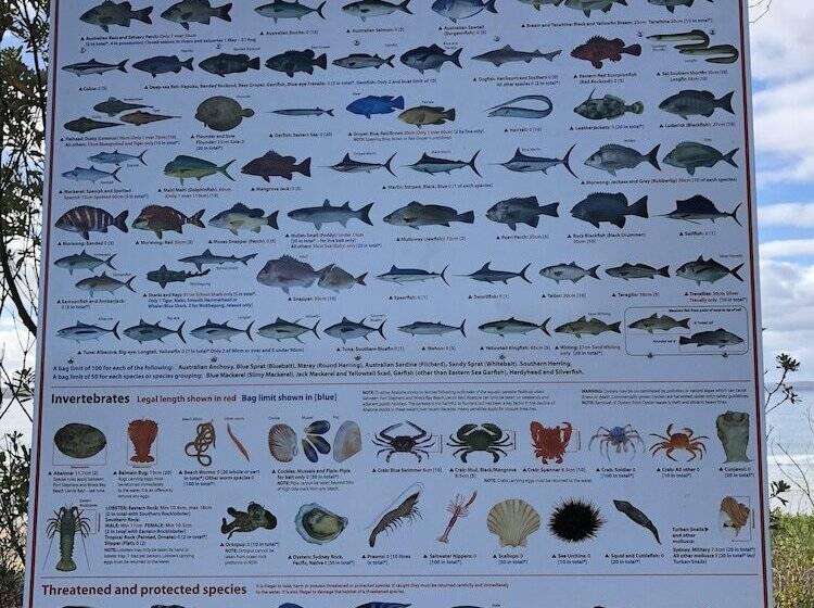 Eden Golf View Motel