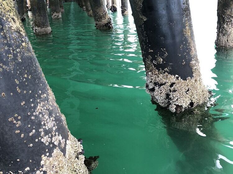 Eden Golf View Motel