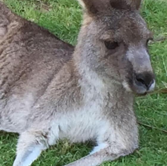 Eden Golf View Motel