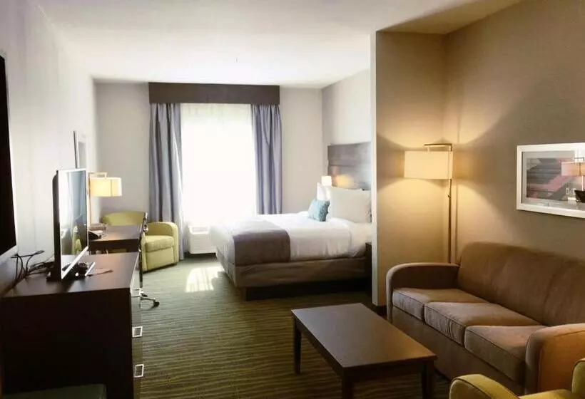 Best Western Plus Prien Lake Hotel & Suites   Lake Charles